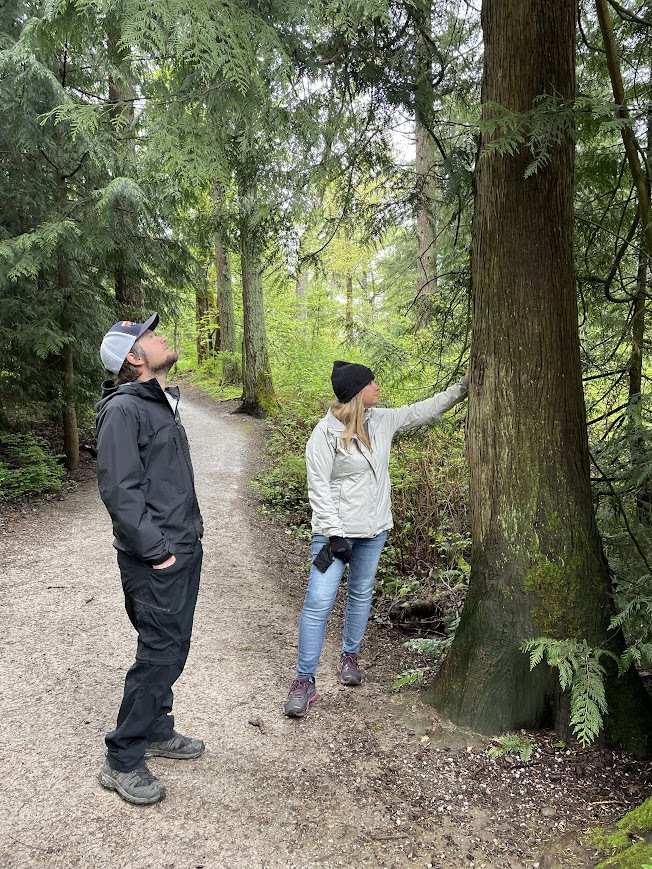 All the nature walks