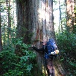 2129_557383741610_25913946_34853740_2181_n