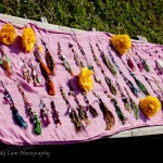 383607_10100379053186430_684713453_n