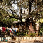 206096_10100389864430610_63507839_n