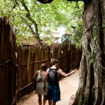 248115_10100381811733280_1516619010_n