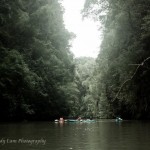 307556_10100386546709350_281678467_n