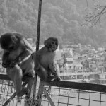 319890_10100403496107620_1049373432_n