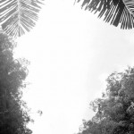 379426_10100386542048690_1864457259_n