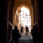 393101_10100393548088530_567117480_n