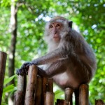 563880_10100381810660430_1848259658_n