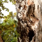 6396_10100381811408930_1965940423_n