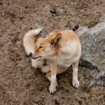 150611_10100425119055060_566381213_n