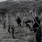 285616_10100432988589450_1576795234_n