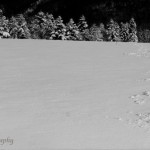 307442_10100432961254230_1038321758_n