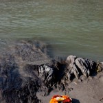 408391_10100403500239340_1234375361_n