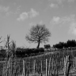 531586_10100432957846060_1291411535_n