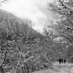 72901_10100432959637470_636242735_n