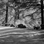 734598_10100406574234030_686624886_n