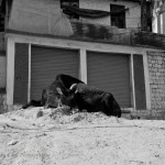 75034_10100406565731070_1764114783_n