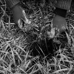 45404_10100452949492640_1276876526_n