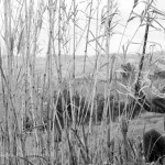 475_10100452948863900_845290599_n