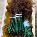 481832_10100452948918790_1231006726_n