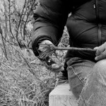 486595_10100452948968690_488228653_n