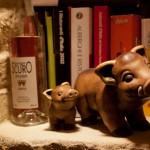 563541_10100452952980650_195968773_n