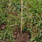 598839_10100452949033560_2113368318_n