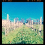 408093_10100477575437050_1873356849_n