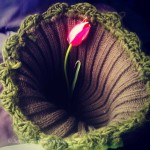 482817_10100477575995930_1527308423_n