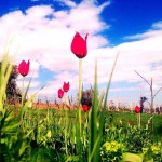 560031_10100486392936710_1822975073_n