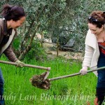 563749_10100472743590110_1981516427_n