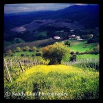 931301_10100490171314810_1949883458_n