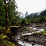 179704_10100517082299980_1106736785_n