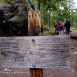 307089_10100517078357880_462551882_n