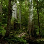 1000905_10100529995531760_1378224401_n