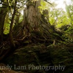 1002943_10100529995426970_895892768_n