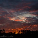 1014013_10100698672526710_1726712105_n