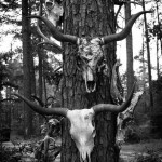 1453385_10100698670520730_1486739822_n