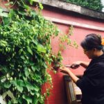 14192621_10101836747550240_235515563859578369_n