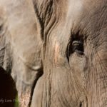 282444_10100370224344500_699903032_n